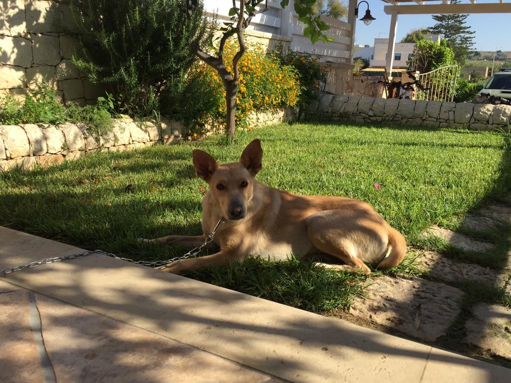Casa Mia Βίλα Donnalucata  Εξωτερικό φωτογραφία